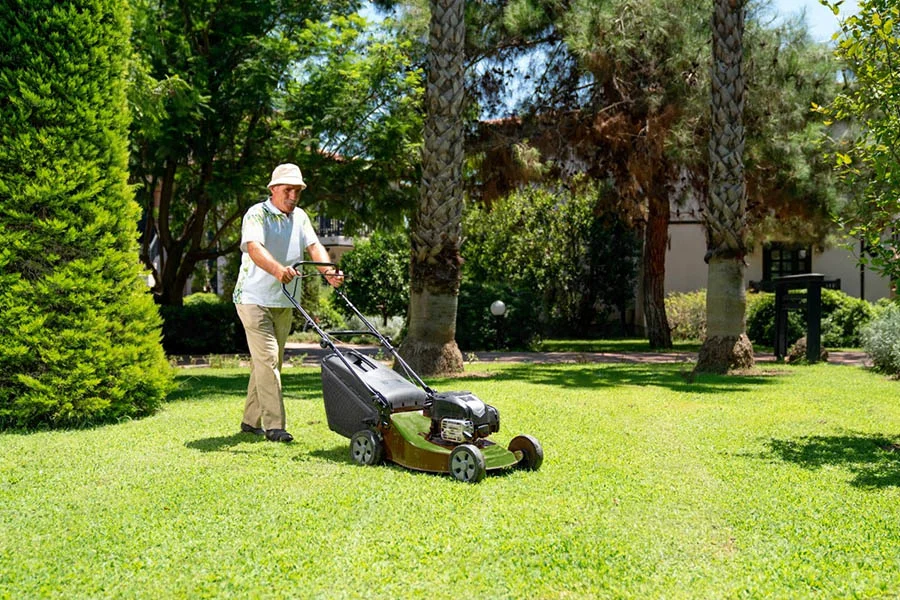 propelled lawn mower