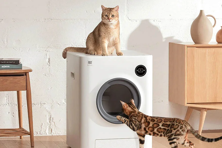 best cat litter robot